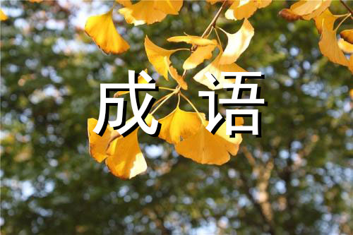 抱残守缺