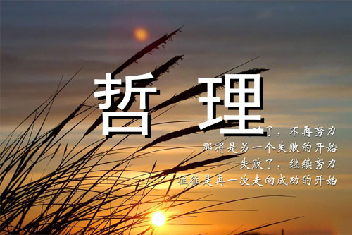 那鹿，那马，那人，比赛！