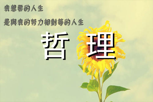 名人效应