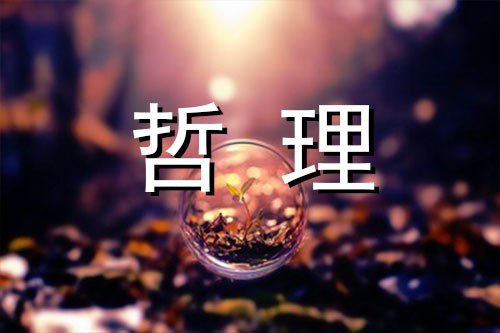 你是如何看待自己的