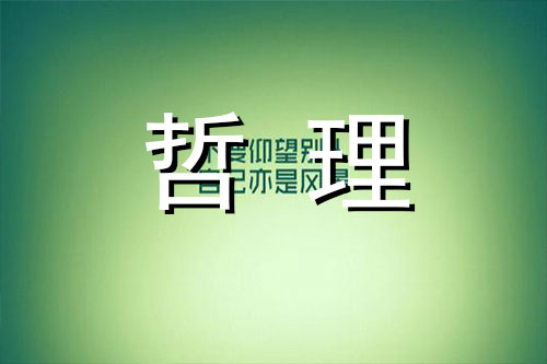 学大雁，别做海鸥