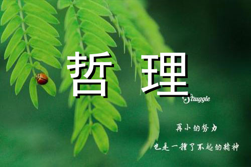 慎易以避难，敬细以远大