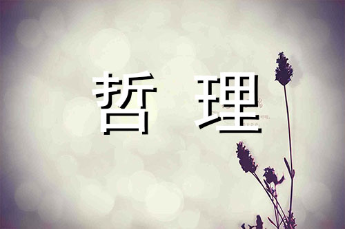 留心生活的每一瞬间