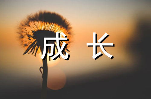 贵的东西总是慢慢成长作文1000字