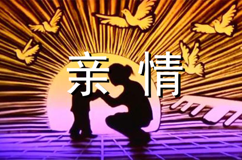 那一次，我懂得了真正的亲情550字