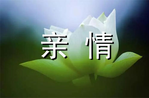 一个感人的亲情故事1500字