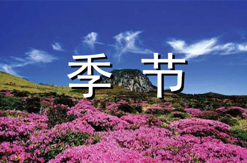 走过四季650字
