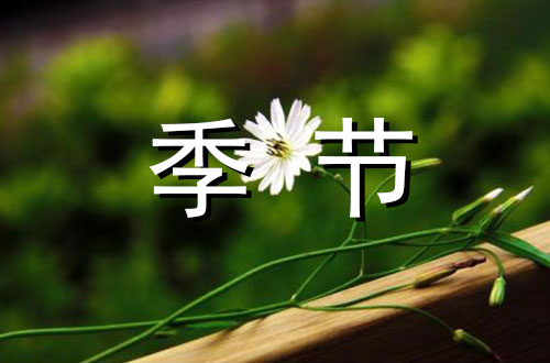 秋老虎500字