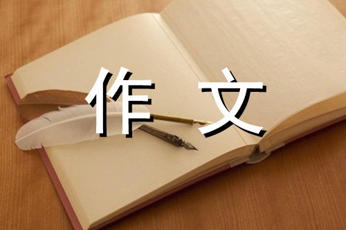 小熊放风筝-看图写话300字