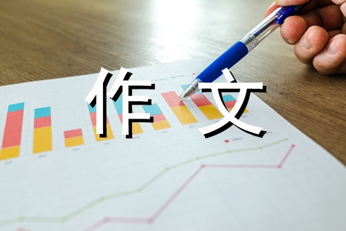 精彩瞬间的背后600字