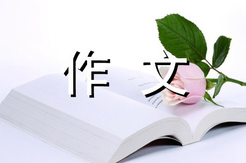 难忘的亲情-写事的作文450字