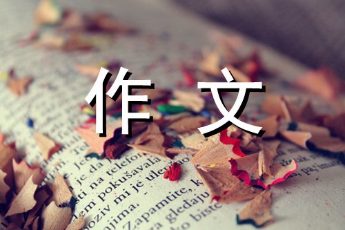 深沉的爱-关于亲情的作文400字