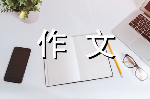 写事的作文300字 打羽毛球