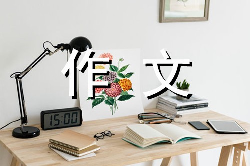 写事的作文400字 打羽毛球
