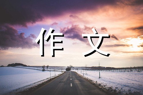我是塑料袋-想象作文650字