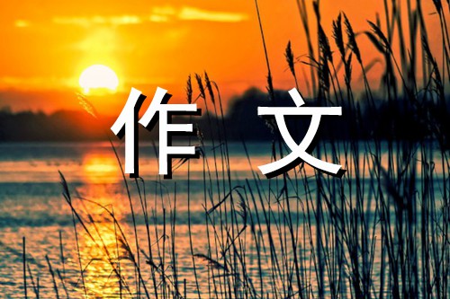 初二励志作文900字 空想不如努力行动