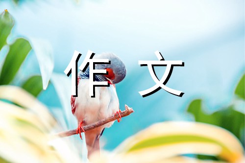 愿你明智600字初中作文