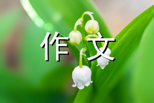 蚂蚁历险记作文350字